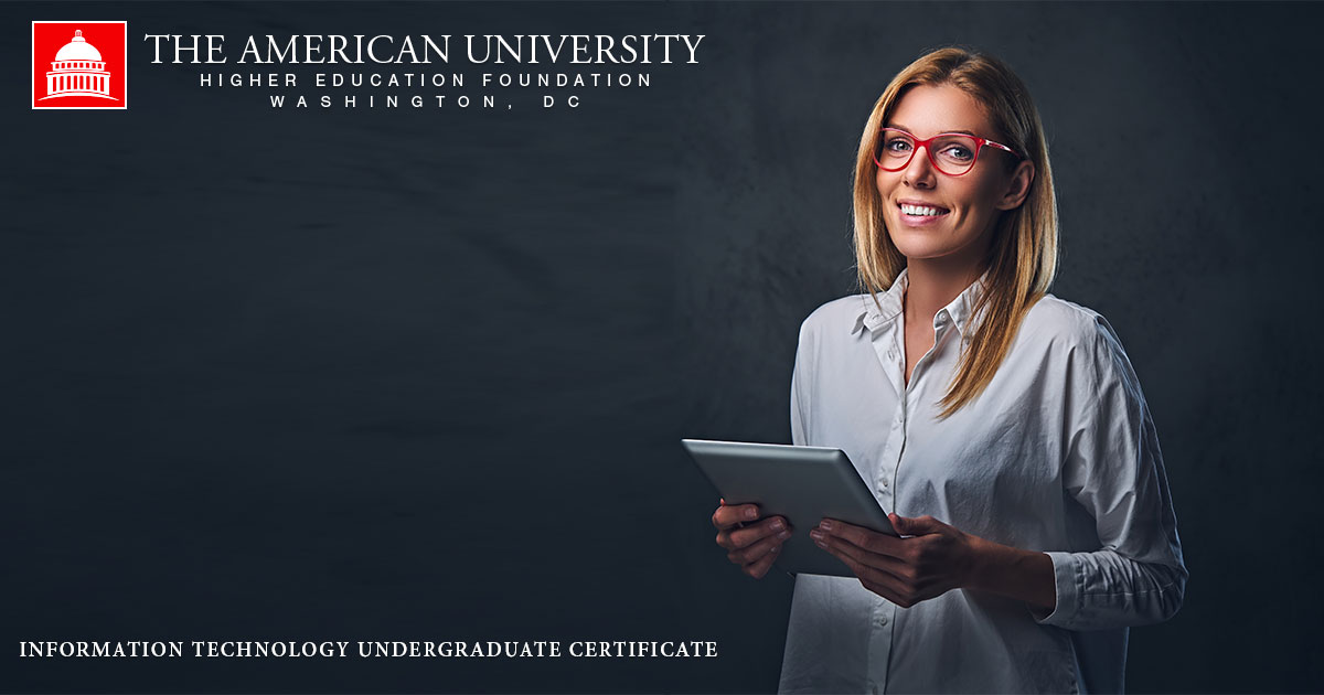 information technology undergraduate certificate