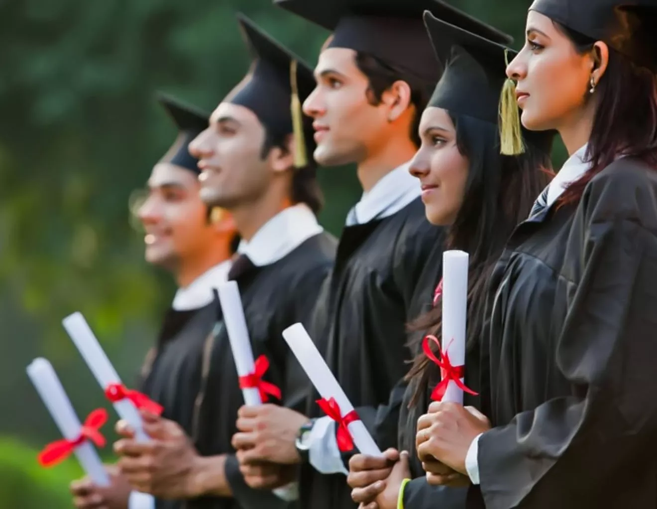 the american university of higher education bg